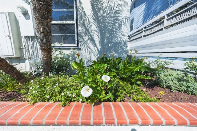 Detail Gallery Image 37 of 51 For 264 Ravenna, Long Beach,  CA 90803 - 2 Beds | 1 Baths