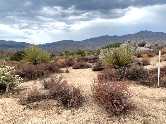 Detail Gallery Image 3 of 10 For 238 Casino Rd, Mountain Center,  CA 92561 - – Beds | – Baths