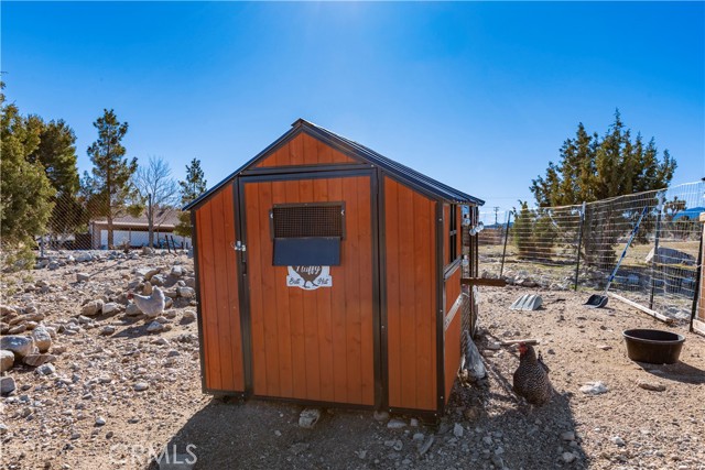 Image 47 of 54 For 1825 Smoke Tree