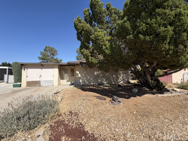 Front Image Thumbnail for CRSB26207605
