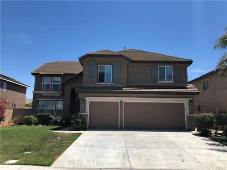 14275 English Setter