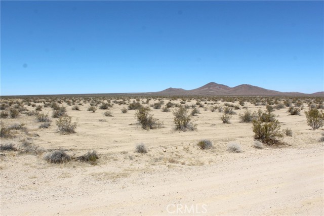1111 Apache Ave, Adelanto CA: https://media.crmls.org/medias/04169a70-1f69-472c-bee8-0f3a62356bfe.jpg
