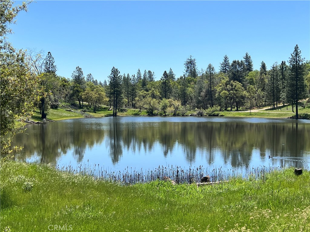 MLS #MP24086965 image #8