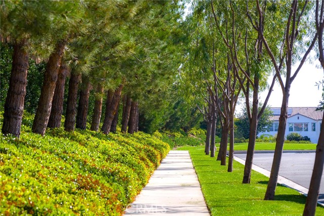 Detail Gallery Image 67 of 75 For 117 Petunia, Irvine,  CA 92618 - 4 Beds | 4 Baths