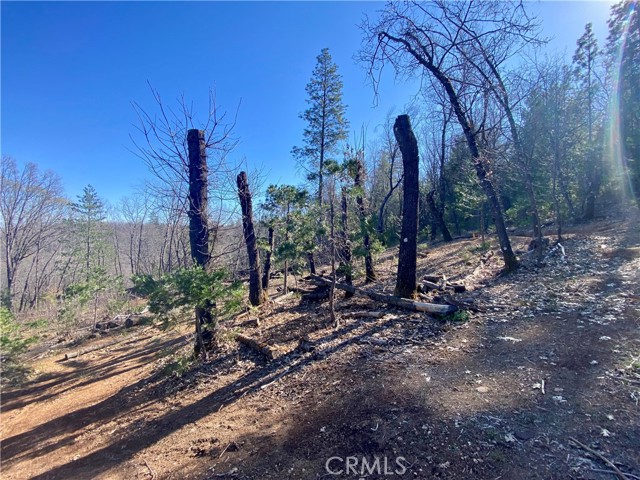 Detail Gallery Image 4 of 21 For 10130 Seigler Springs North, Kelseyville,  CA 95451 - – Beds | – Baths