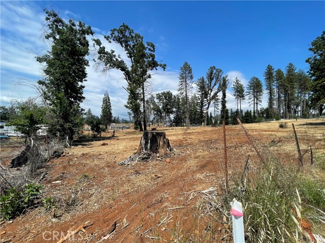 676 Meyers Lane, Paradise, California 95969, ,Land,For Sale,676 Meyers Lane,CRSN23106927