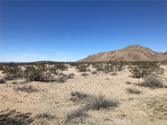 0 Palomino Road, Helendale CA: https://media.crmls.org/medias/0428f2cb-b92f-4bea-a055-af246ef5faee.jpg
