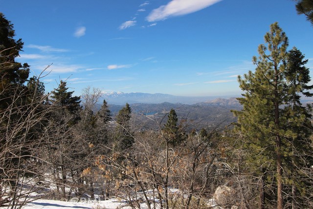 Detail Gallery Image 35 of 47 For 33149 Holcomb Creek Dr, Green Valley Lake,  CA 92341 - 3 Beds | 1 Baths