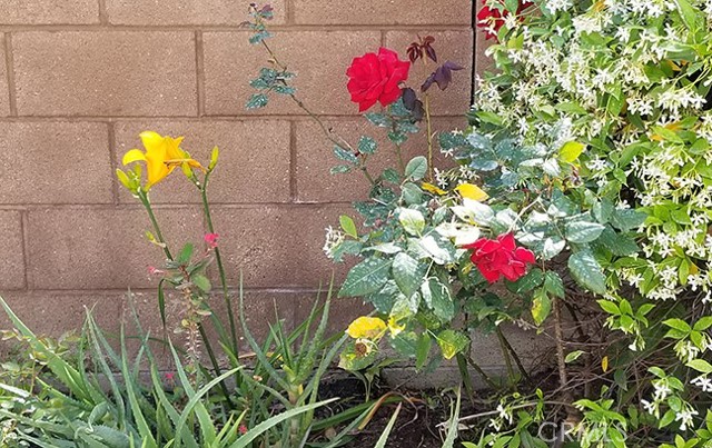 Detail Gallery Image 28 of 38 For 49 Elizabeth Ln, Irvine,  CA 92602 - 4 Beds | 2/1 Baths