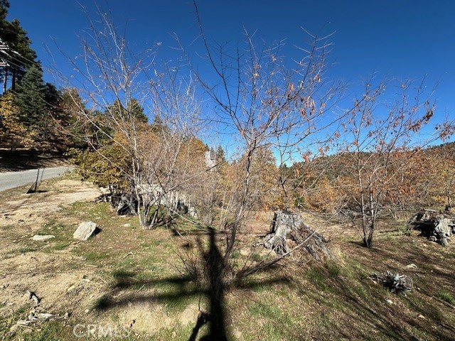 Detail Gallery Image 21 of 31 For 2379 Chicago Dr, Running Springs,  CA 92382 - – Beds | – Baths