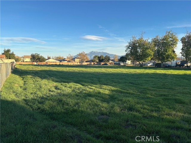 Front Image Thumbnail for CRIG25279083