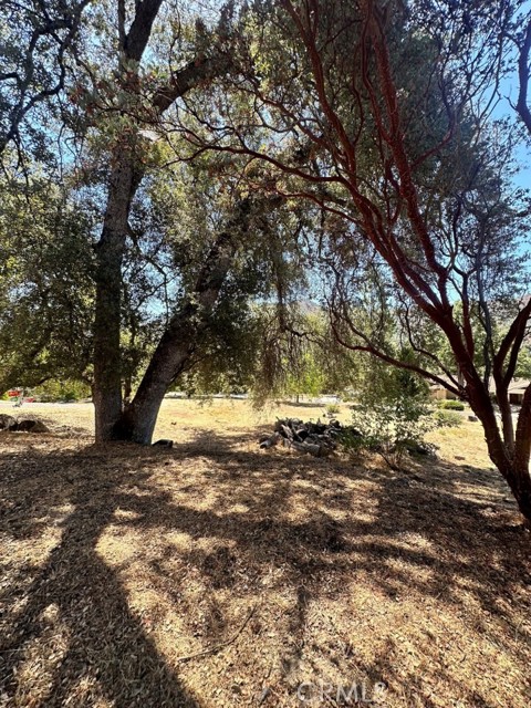40570 Griffin Drive, Oakhurst CA: https://media.crmls.org/medias/043b14b7-8be0-4cc0-9334-d0c99ffd72c8.jpg