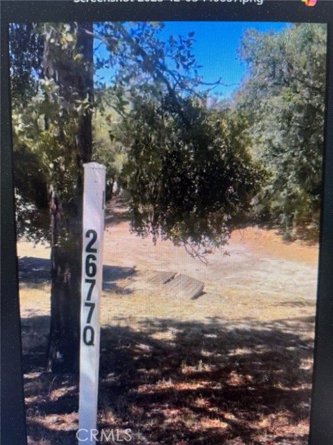 Front Image Thumbnail for CRIV25269815