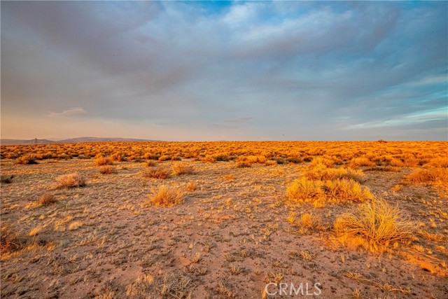1 APN 0496-051-09 Santa Fe Avenue, Hinkley CA: https://media.crmls.org/medias/043f9afe-8331-4345-a390-06e2f64e77c4.jpg