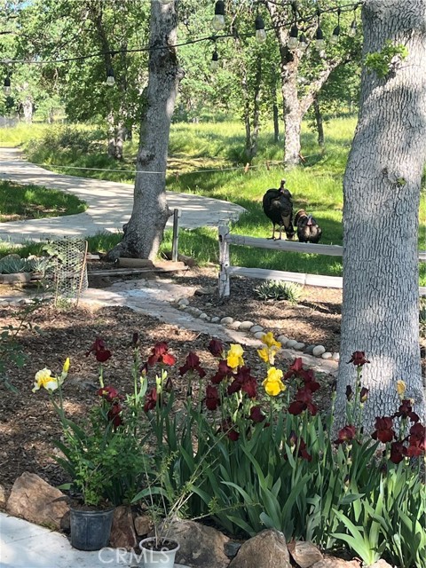 29503 Spence Lane, Tollhouse CA: https://media.crmls.org/medias/04458a06-0a49-4202-9243-ffde3d9902f6.jpg