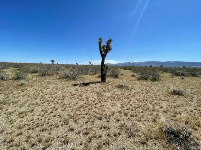 0 -Dos Palmas Rd., Pinon Hills, California 92372, ,Land,For Sale,0 -Dos Palmas Rd.,CREV23199555