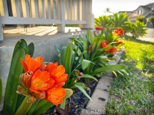 Detail Gallery Image 30 of 54 For 10 Acorn, Rancho Santa Margarita,  CA 92688 - 3 Beds | 2/1 Baths