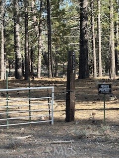 Detail Gallery Image 9 of 15 For 34557 Polique Canyon, Fawnskin,  CA 92333 - – Beds | – Baths