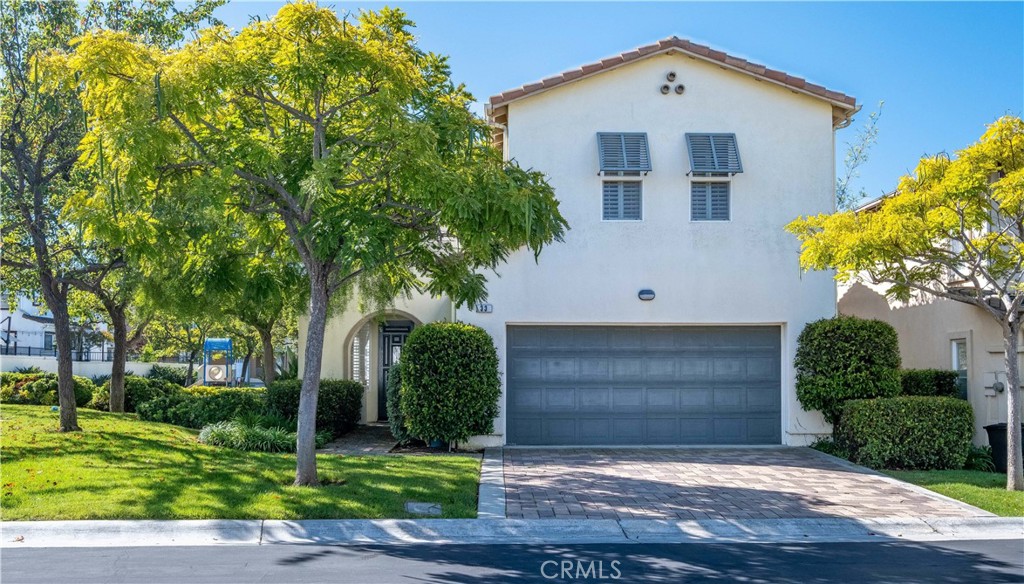 33 Pepper Tree