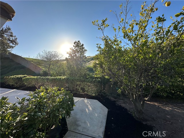 Image 10 of 67 For 5315 Cantante