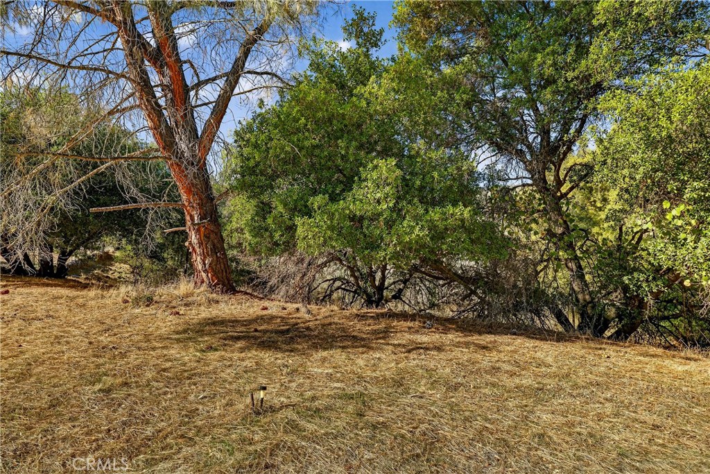 MLS #IV25247269 image #6