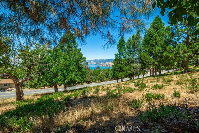Detail Gallery Image 66 of 75 For 3126 Edgewood Drive, Kelseyville,  CA 95451 - – Beds | – Baths