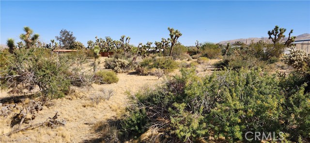 Detail Gallery Image 3 of 5 For 7447 Valley Vista Ave, Yucca Valley,  CA 92284 - – Beds | – Baths