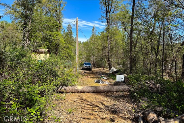 Detail Gallery Image 8 of 29 For 21138 Big Oak Ln, Lakehead,  CA 96051 - – Beds | – Baths