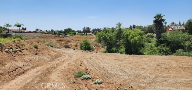 18396 Richard M Nixon Court, Riverside, California 92508, ,Land,For Sale,18396 Richard M Nixon Court,CRTR23124509