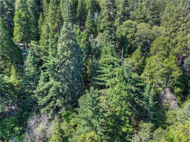 Detail Gallery Image 4 of 7 For 0 Lakeview Dr, Crestline,  CA 92325 - – Beds | – Baths