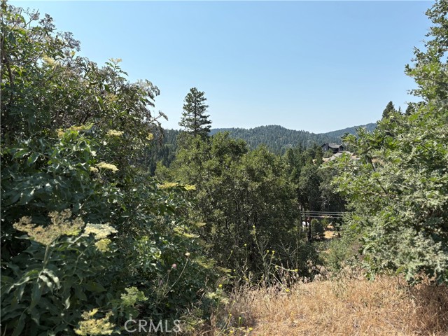 Detail Gallery Image 4 of 6 For 26801 Inyo Ln, Lake Arrowhead,  CA 92352 - – Beds | – Baths
