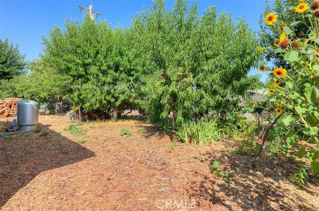 9493 Yokum Street, Chico CA: https://media.crmls.org/medias/04938ac3-c177-4771-85a2-1c862d80aceb.jpg