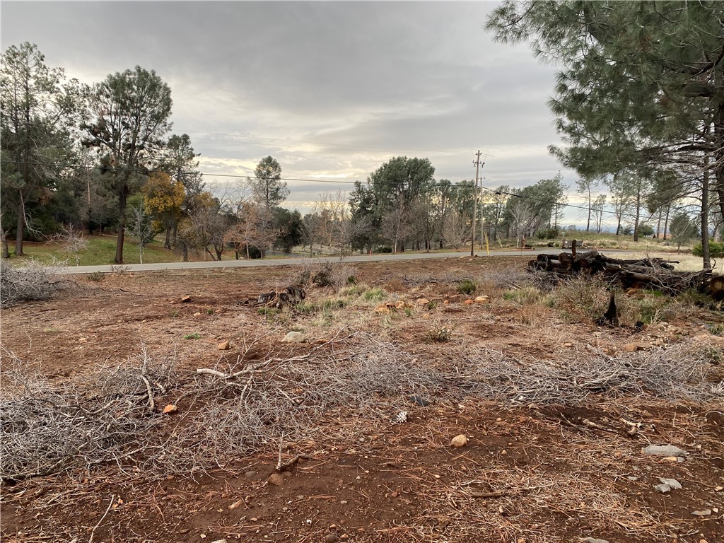 0 Wayland Road, Paradise, California 95969, ,Land,For Sale,0 Wayland Road,CRSN23231703