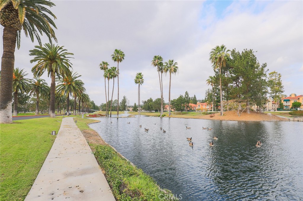 049fb11d 6b82 4bb3 Ae52 3b2b95bb6825