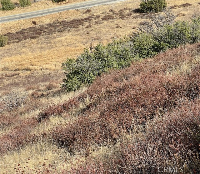 Detail Gallery Image 9 of 9 For 0 Sierra, Acton,  CA 93510 - – Beds | – Baths