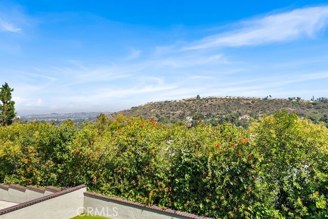 Detail Gallery Image 5 of 38 For 12782 Periwinkle, North Tustin,  CA 92705 - 5 Beds | 3/1 Baths