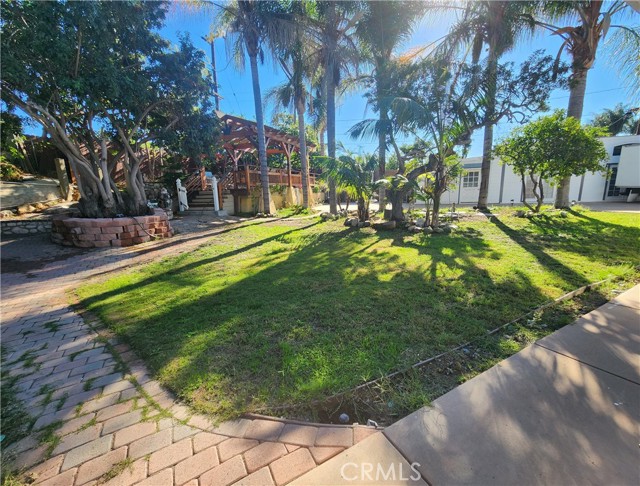 Front Image Thumbnail for CROC25247917