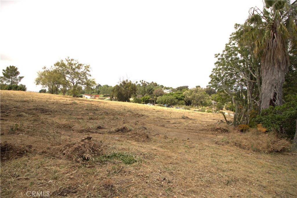 Linda Vista Drive - photo 19