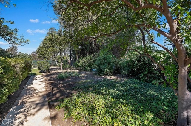 Side Yard - 
Garden Area