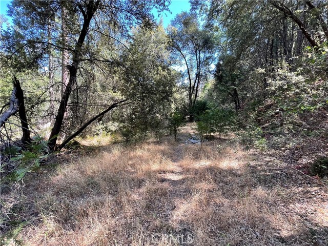 Detail Gallery Image 8 of 19 For 5693 Creel Rd, Mariposa,  CA 95338 - – Beds | – Baths