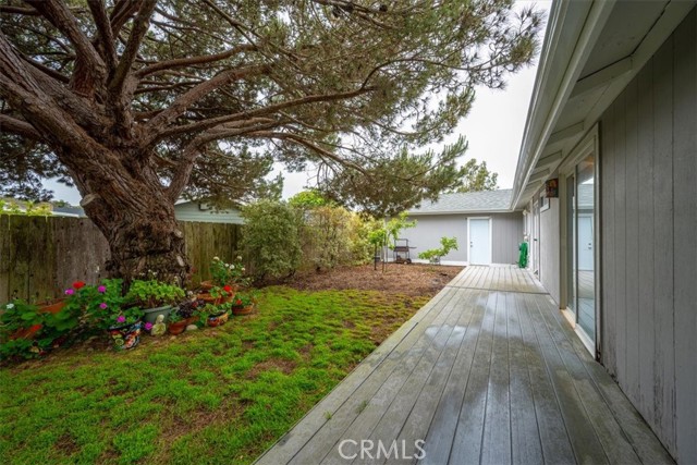 This is the side yard located right off the kitchen and the laundry room. It has nice wrap around deck, perfect for your bar b que.  Outdoor access to the garage area