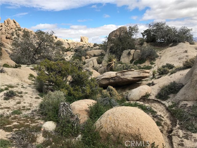 56564 Nelson Avenue, Yucca Valley CA: https://media.crmls.org/medias/04b3acba-07a8-44aa-a376-30a8b0753f52.jpg