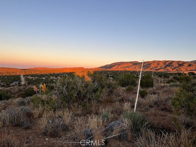 Detail Gallery Image 18 of 75 For 0 Vac/Vic Avenue Z/Vic 195 Ste, Llano,  CA 93544 - – Beds | – Baths