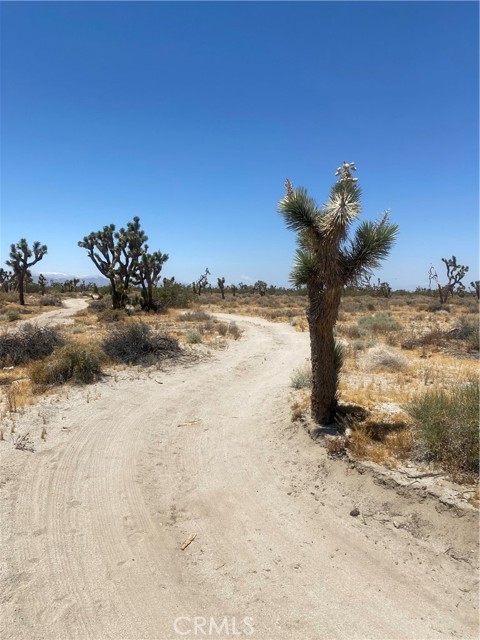 0 Vac/vic Avenue R8/120th, Littlerock, CA, 93543 0 Vac/vic Avenue R8/120th, Littlerock, CA, 93543