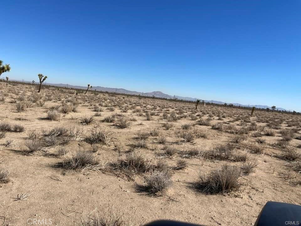 MLS #HD25000657 image #8