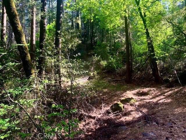 Image 3 of 7 For 17325 Fernbrook