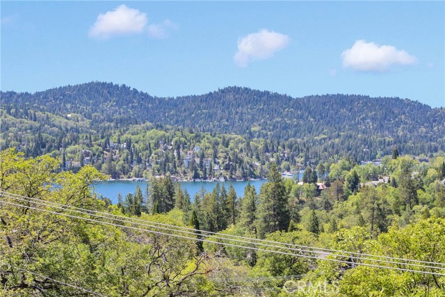 Detail Gallery Image 49 of 61 For 28720 Zion Dr, Lake Arrowhead,  CA 92352 - 4 Beds | 3 Baths