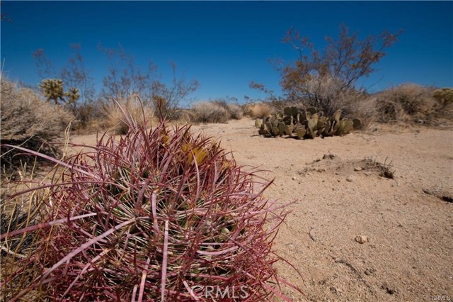 Detail Gallery Image 1 of 5 For 14 Wolfe, Twentynine Palms,  CA 92277 - – Beds | – Baths