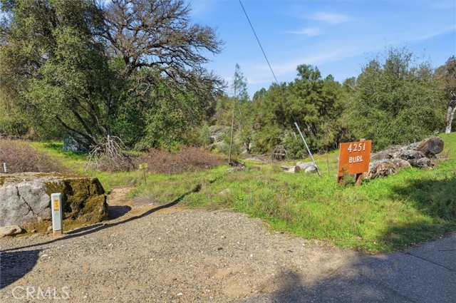 Detail Gallery Image 11 of 34 For 4251 Burl, Mariposa,  CA 95338 - – Beds | – Baths