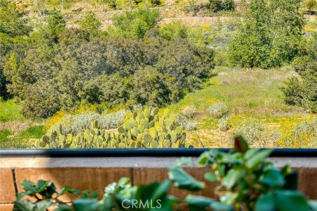 Detail Gallery Image 46 of 52 For 24655 Acadia, Corona,  CA 92883 - 4 Beds | 3 Baths